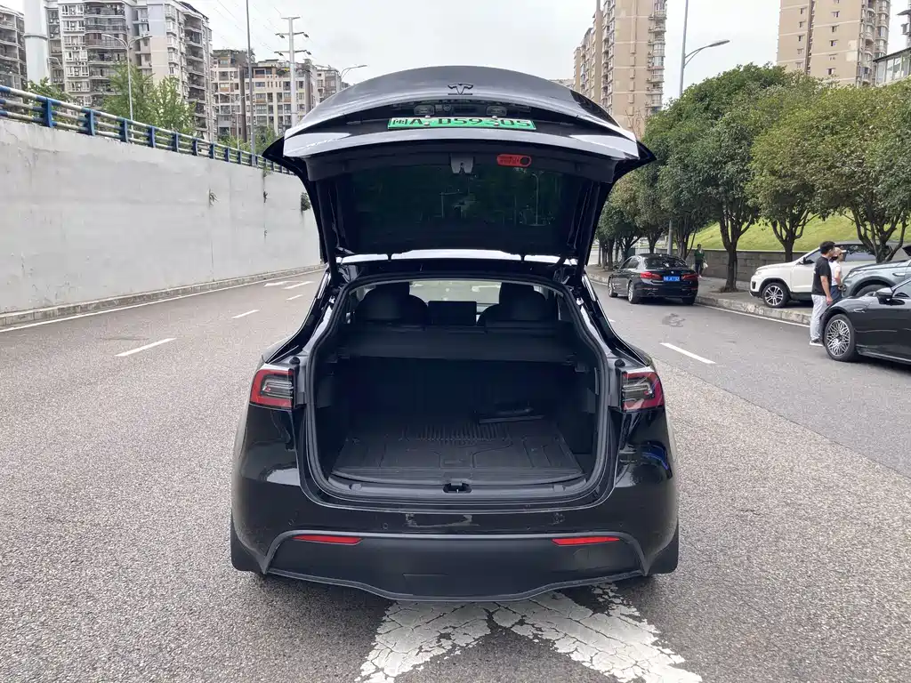 Tesla Model Y — миниатюра 10