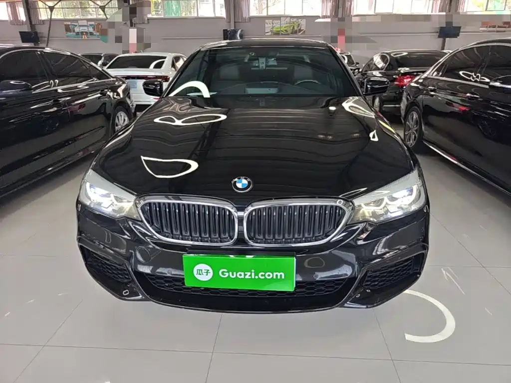 BMW 5 Series — миниатюра 3