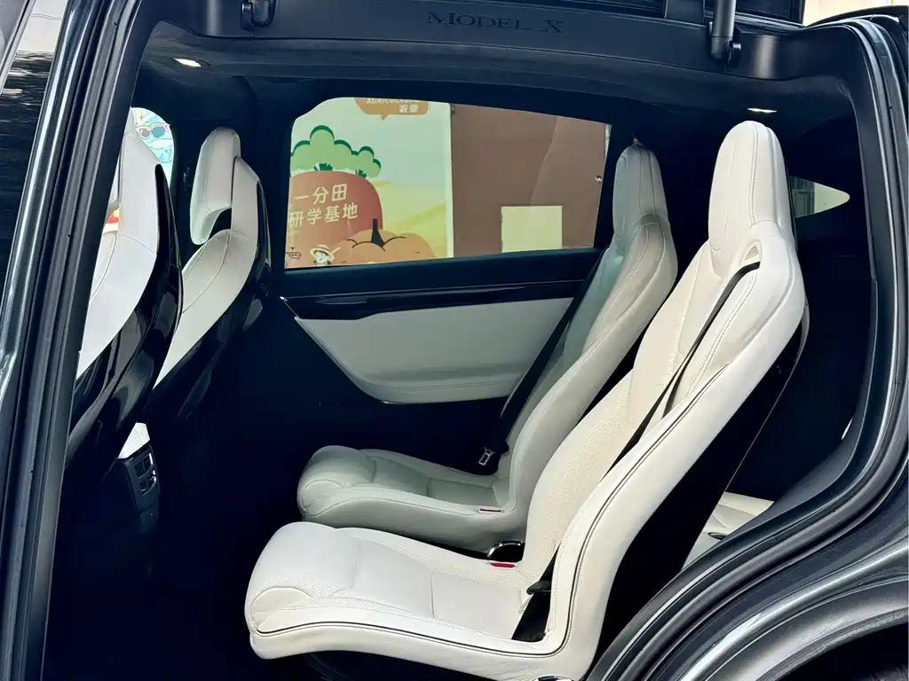 Tesla Model X — миниатюра 8