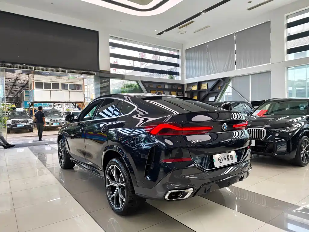 BMW X6 — миниатюра 4