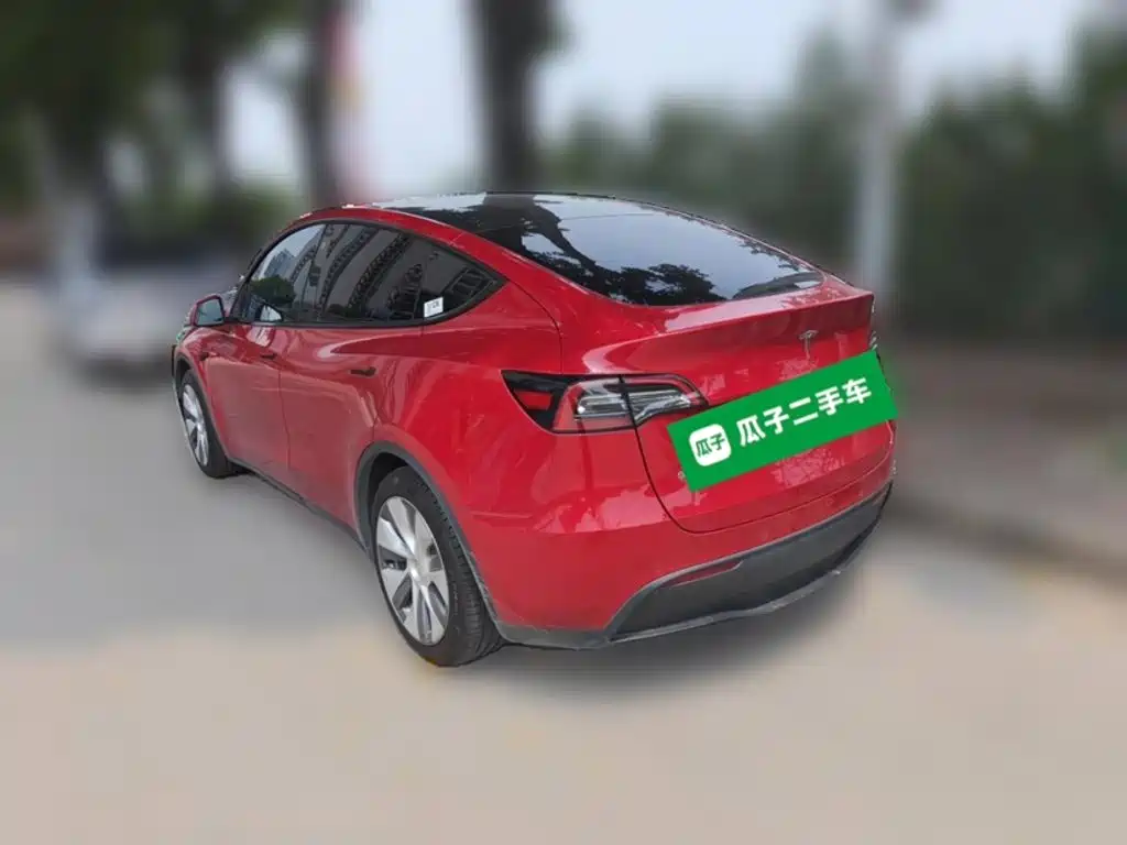 Tesla Model Y — миниатюра 25