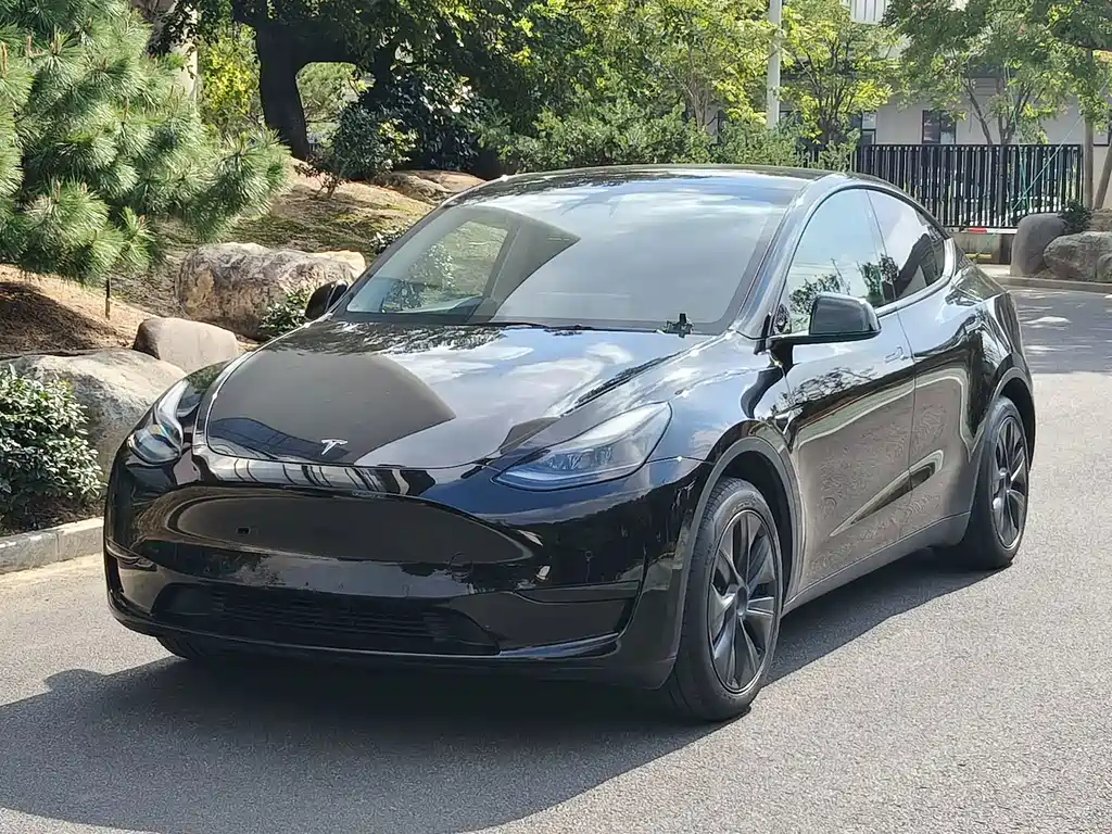 Tesla Model Y — миниатюра 3