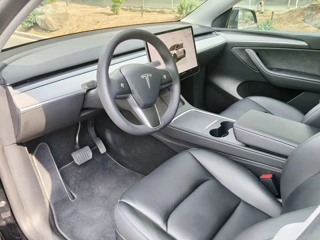 Tesla Model Y — миниатюра 7