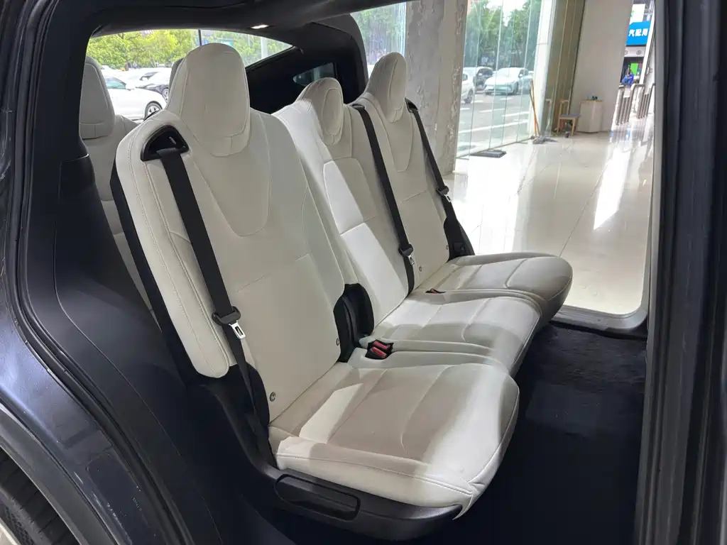 Tesla Model X — миниатюра 10