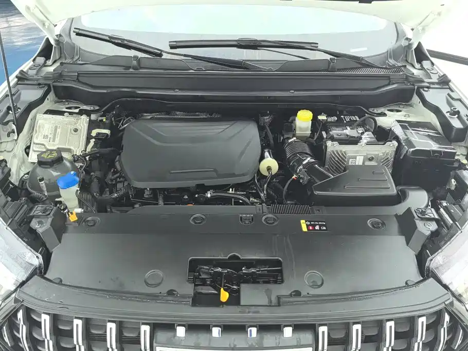 Haval Chitu — миниатюра 10