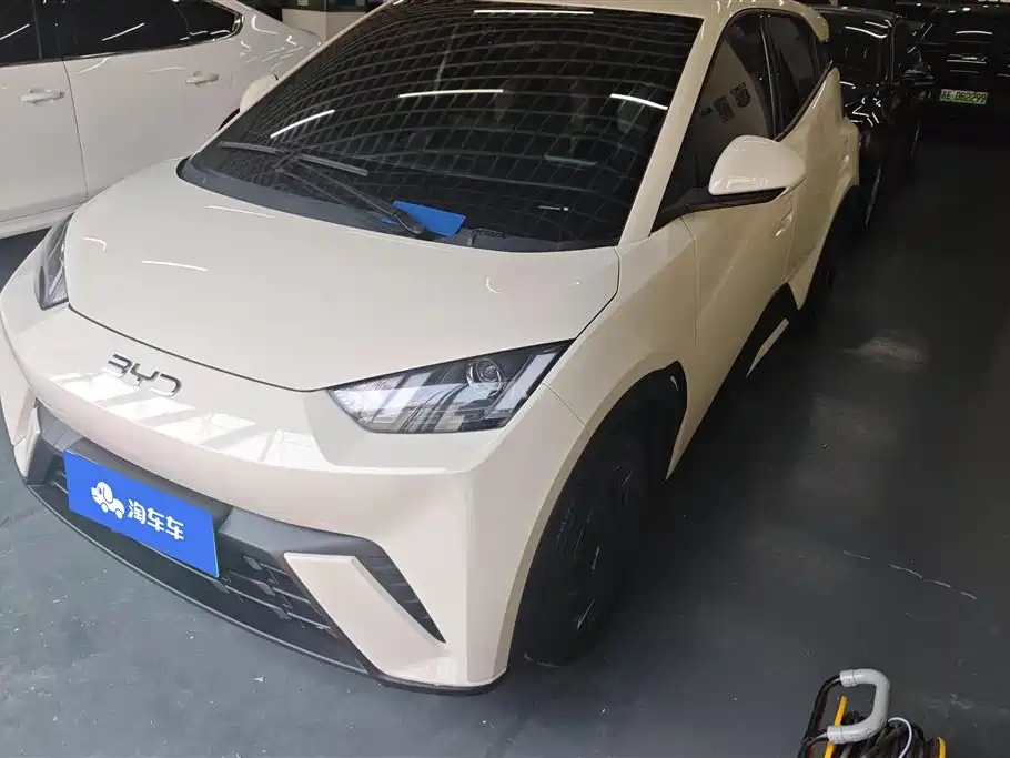 Byd Seagull 2025