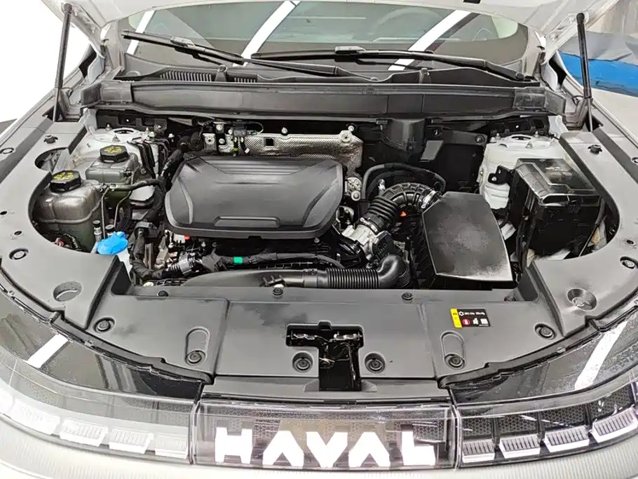 Haval Xiaolong MAX — миниатюра 10