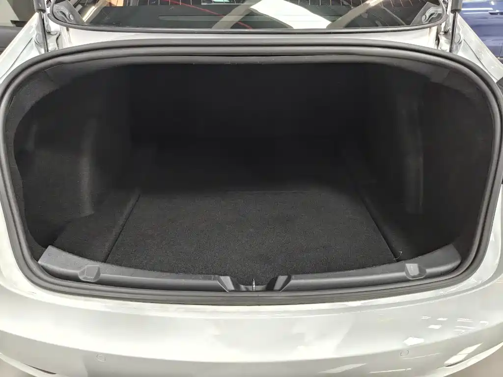Tesla Model 3 — миниатюра 14