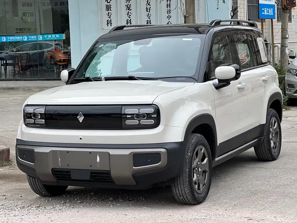 BAOJUN YUE ALSO PLUS