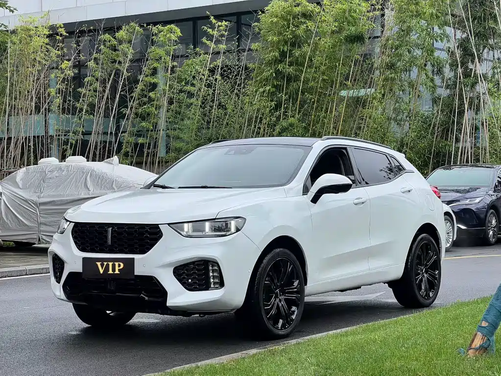 Wey Wey VV5 2019
