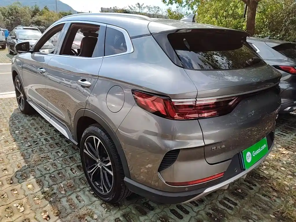 BYD PLUS — миниатюра 5