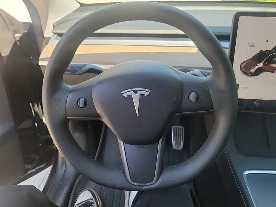 Tesla Model Y — миниатюра 15