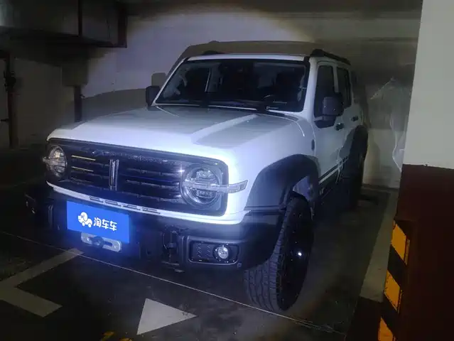 2021 TANK 300