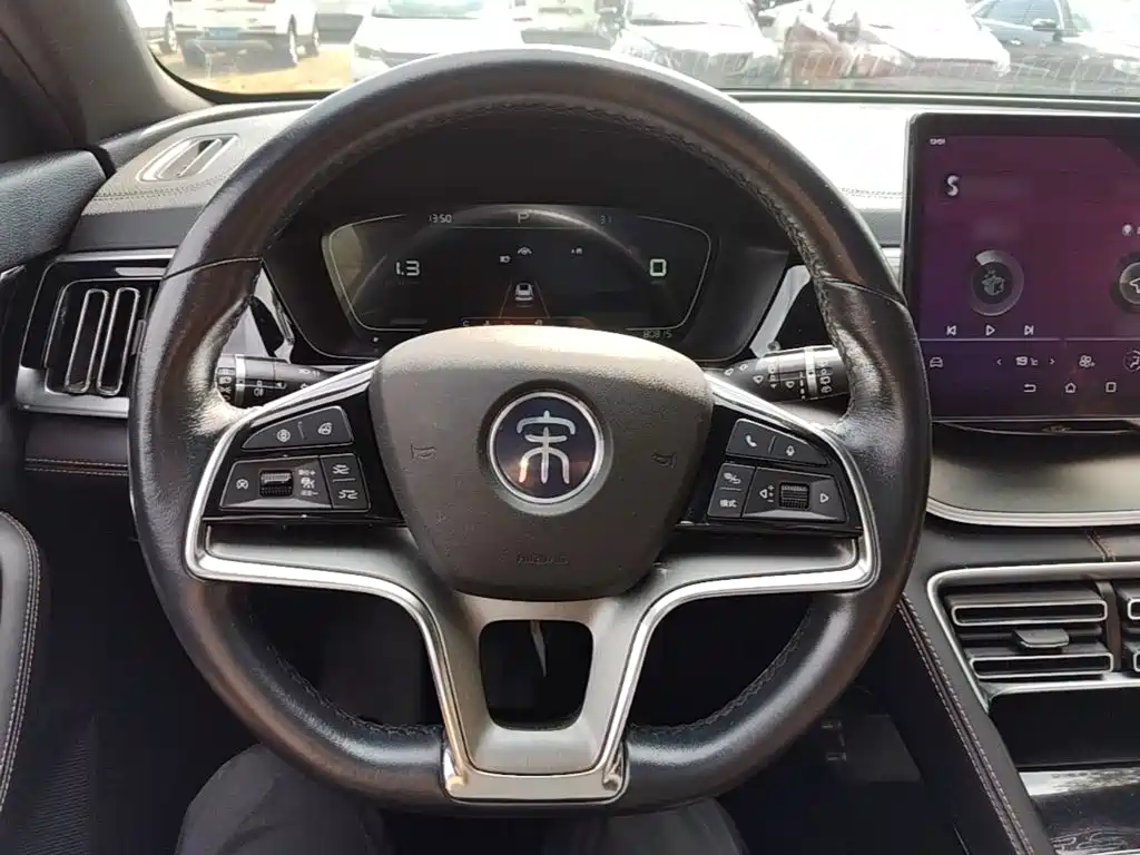 BYD PLUS — миниатюра 11
