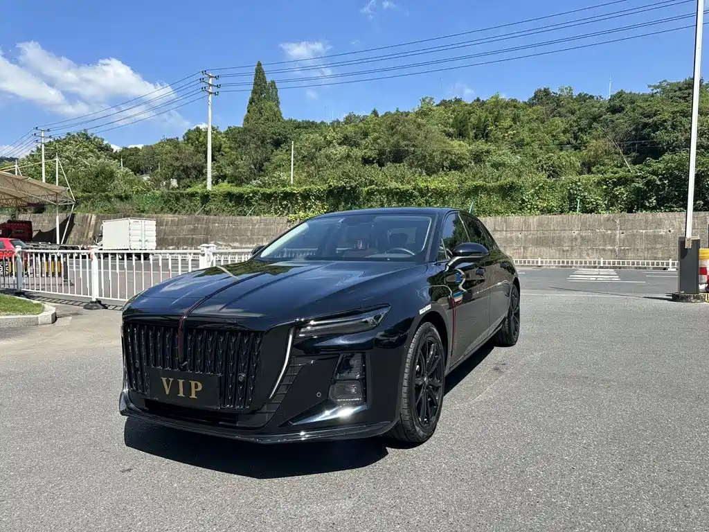 Hongqi Hongqi H5 — миниатюра 2