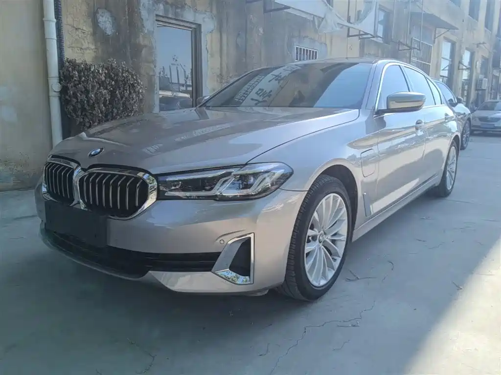 BMW 5 Series New Energy 2021