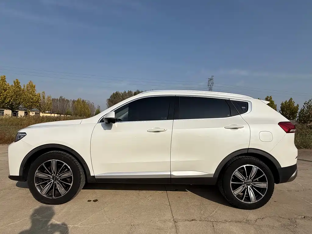 Haval H6 — миниатюра 4