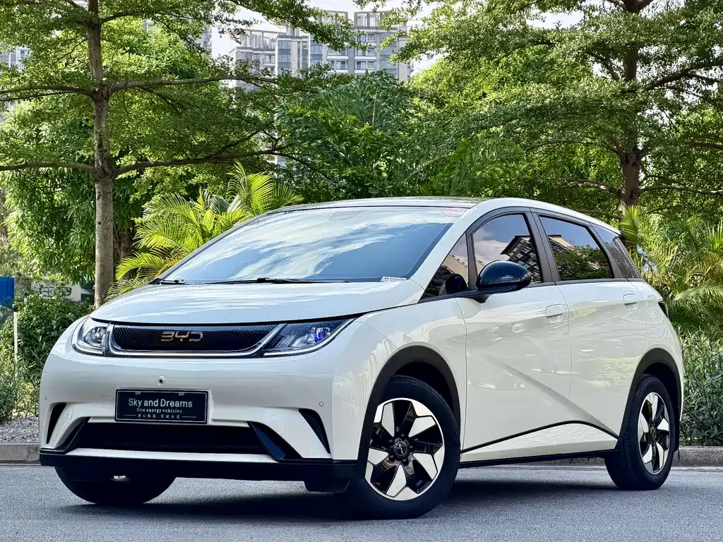 Byd Dolphin 2024