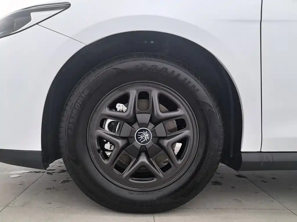 BYD Qin PLUS — миниатюра 17