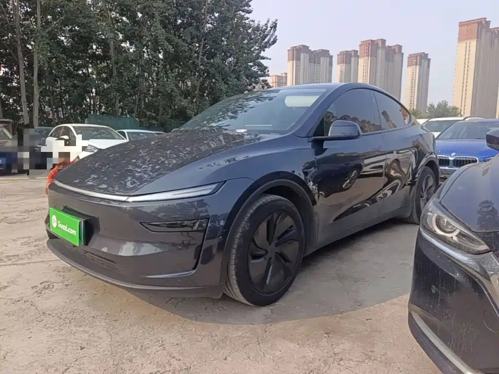 Tesla Model Y — миниатюра 2
