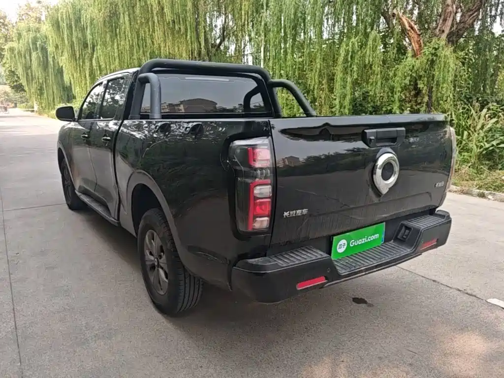 Great Wall Pao — миниатюра 5