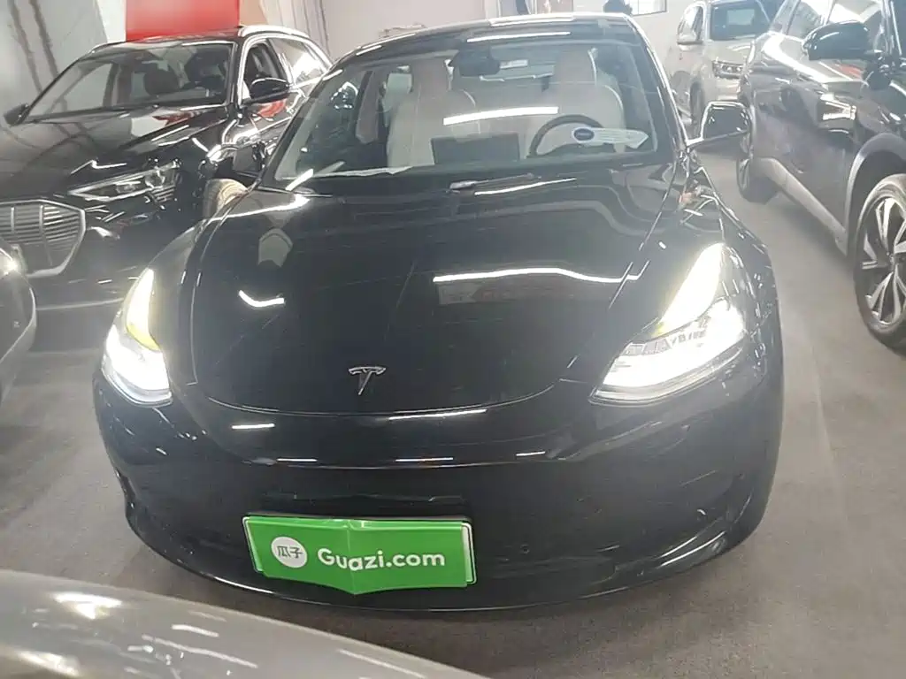 Tesla Model 3 — миниатюра 3