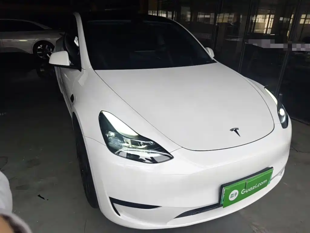 Tesla Model Y — миниатюра 3