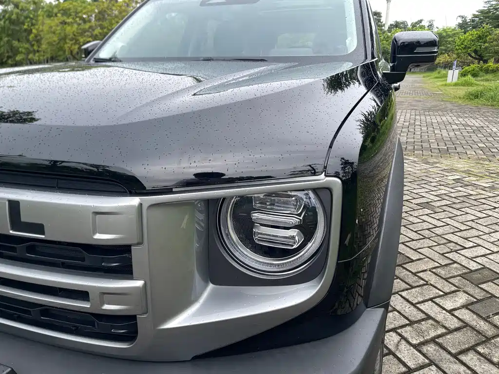 Haval Big Dog — миниатюра 23