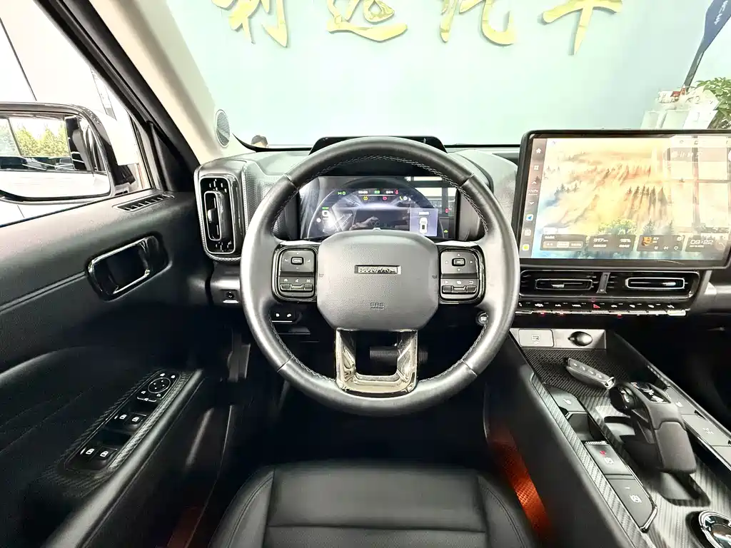 Haval Menglong New Energy — миниатюра 8
