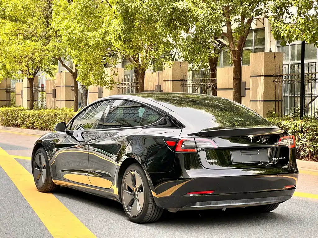 Tesla Model 3 — миниатюра 13