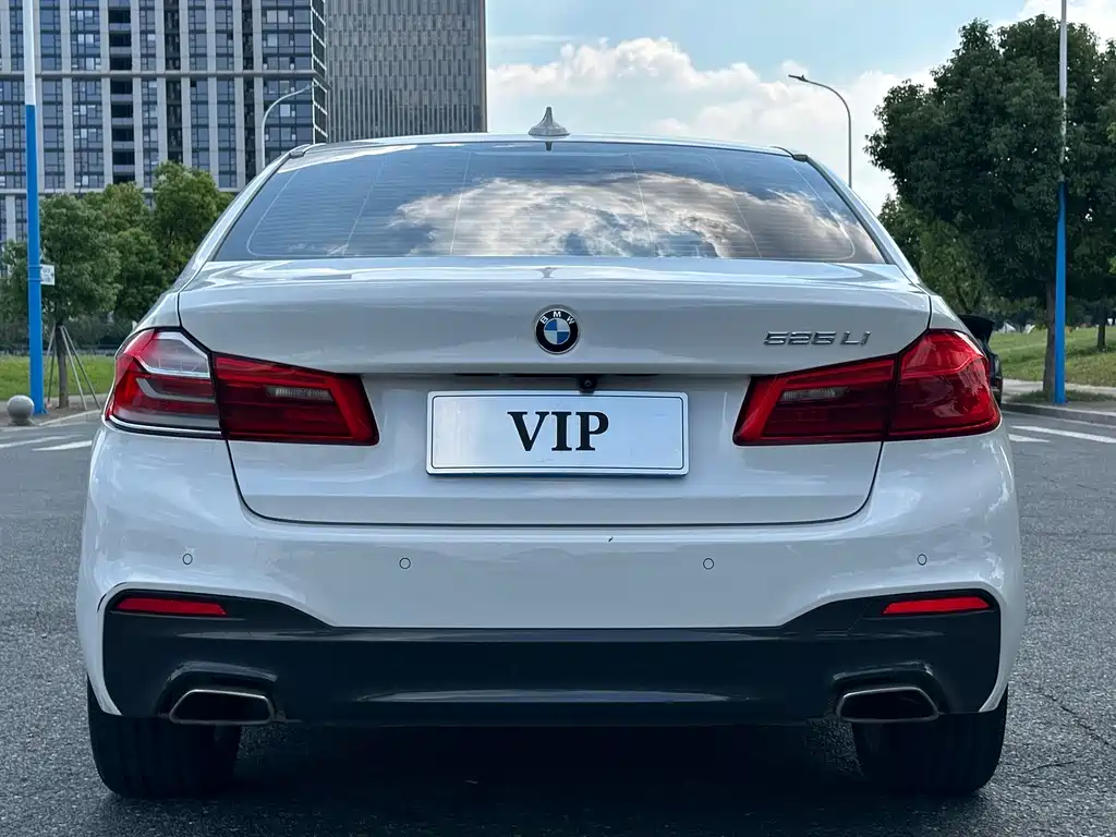 BMW 5 Series — миниатюра 5