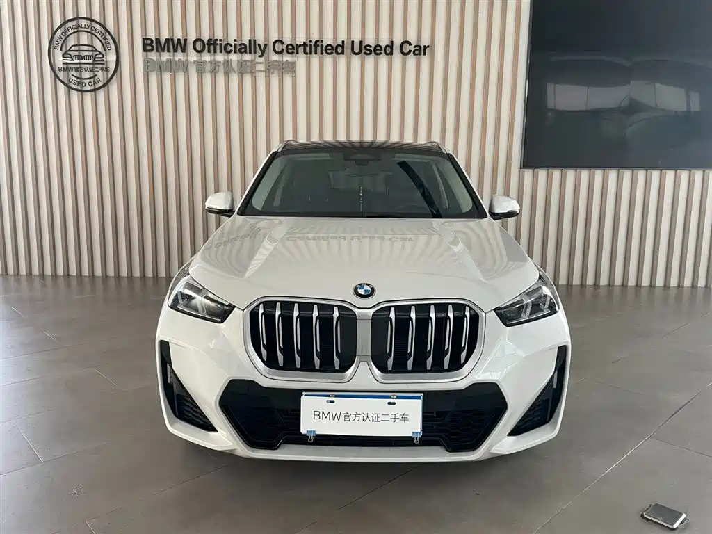BMW X1 — миниатюра 2