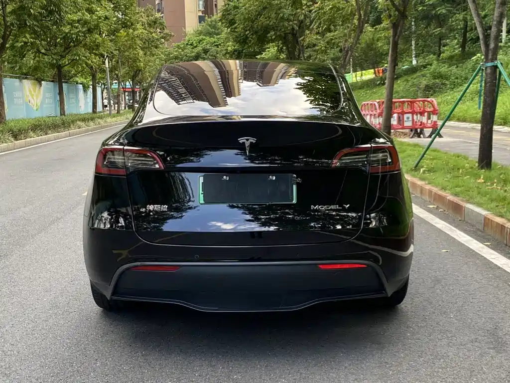 Tesla Model Y — фотографии объявления, Фото 14