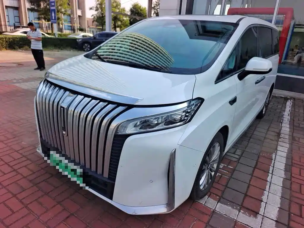Wey Wey Gaoshan New Energy