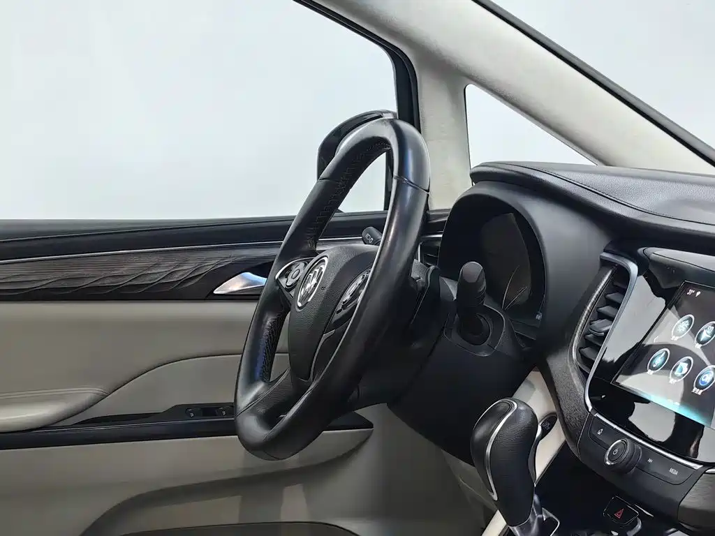 Buick GL8 — миниатюра 22