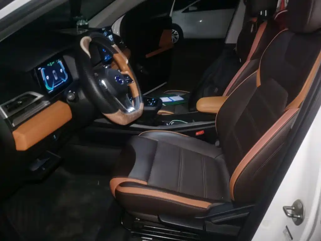 BYD e2 — миниатюра 16
