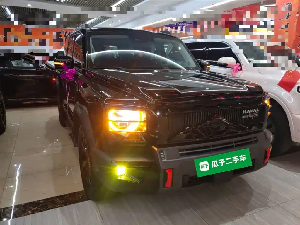 HAVAL  RAPTORS NEW ENERGY