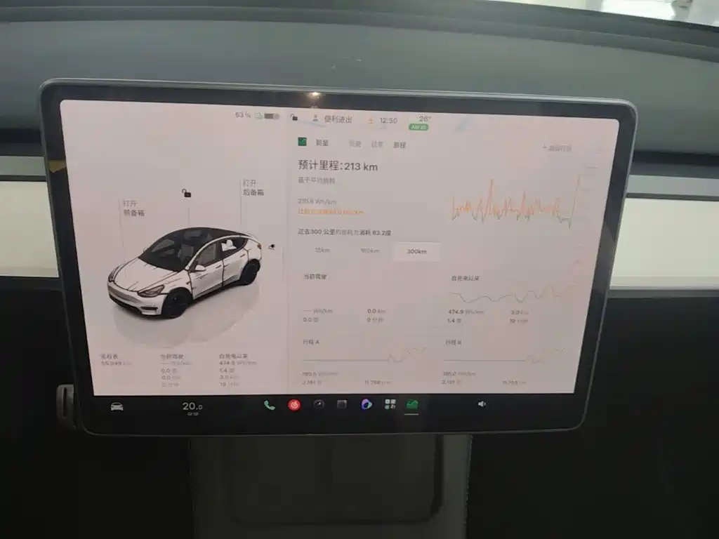 Tesla Model Y — миниатюра 13