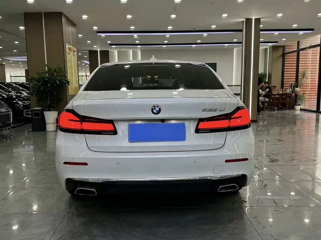BMW 5 Series — миниатюра 8