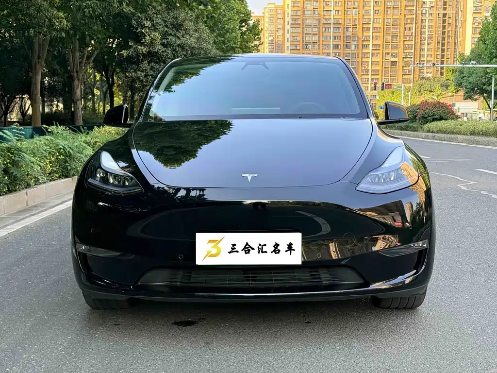 Tesla Model Y — миниатюра 2
