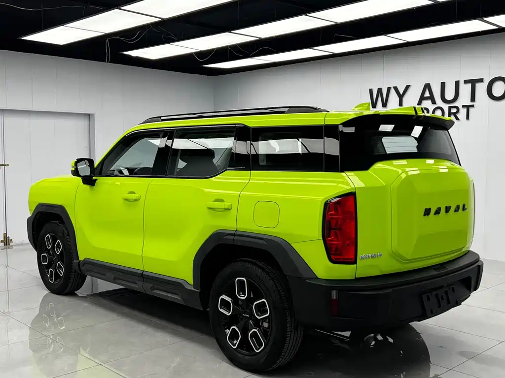 Haval Cool Dog — миниатюра 6