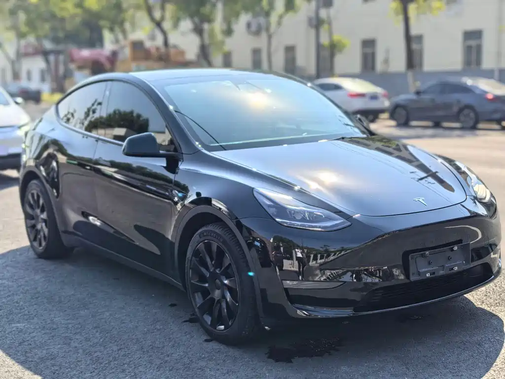 Tesla Model Y — миниатюра 3