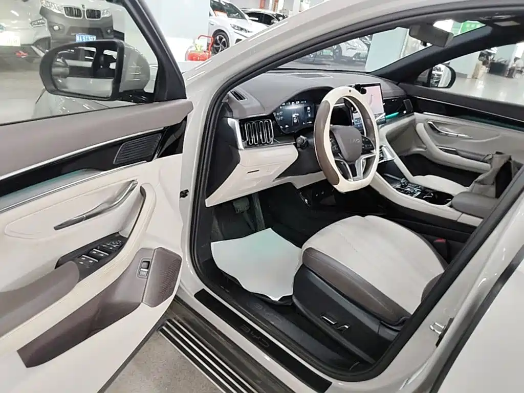 BYD PLUS New Energy — миниатюра 16