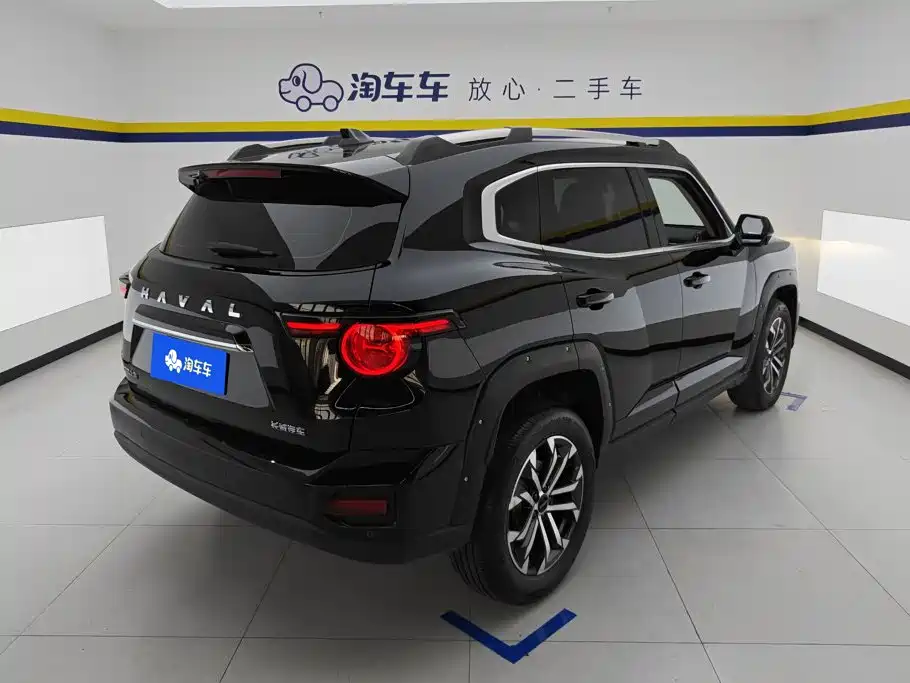 Haval Big Dog PLUS — миниатюра 3