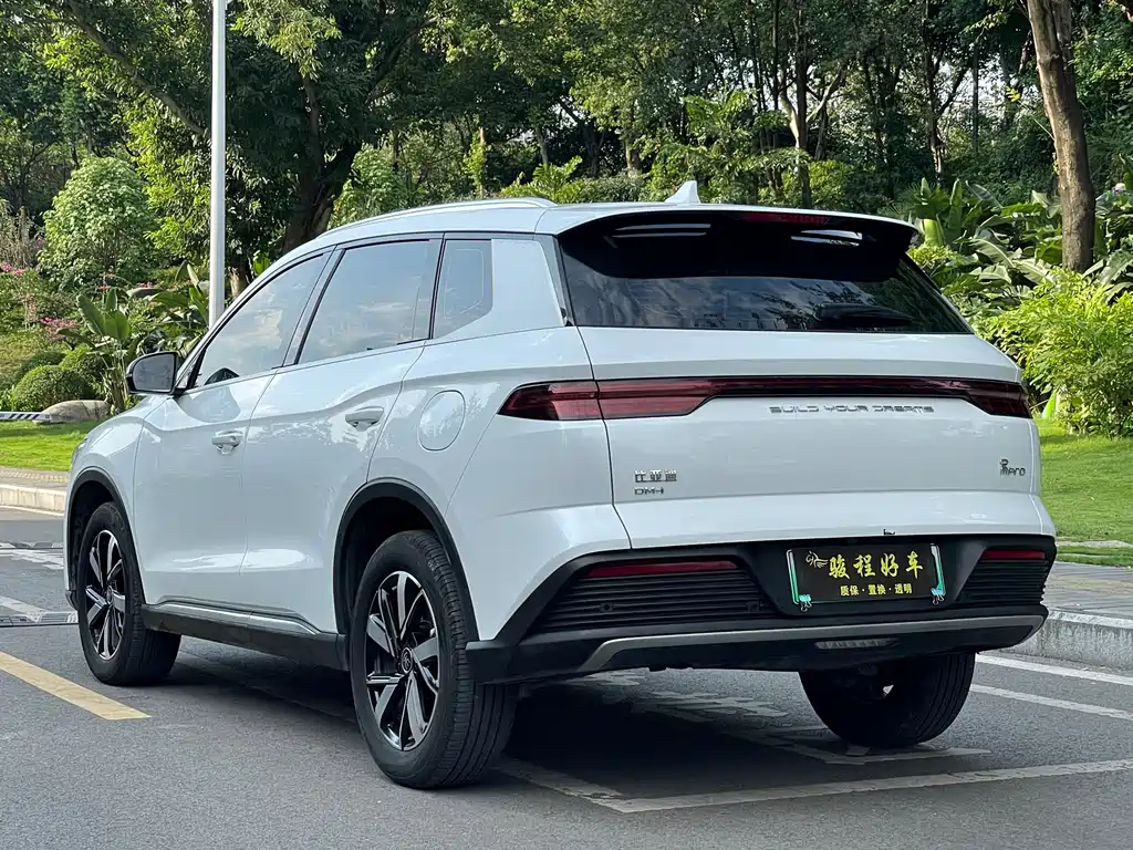 BYD Pro New Energy — миниатюра 5