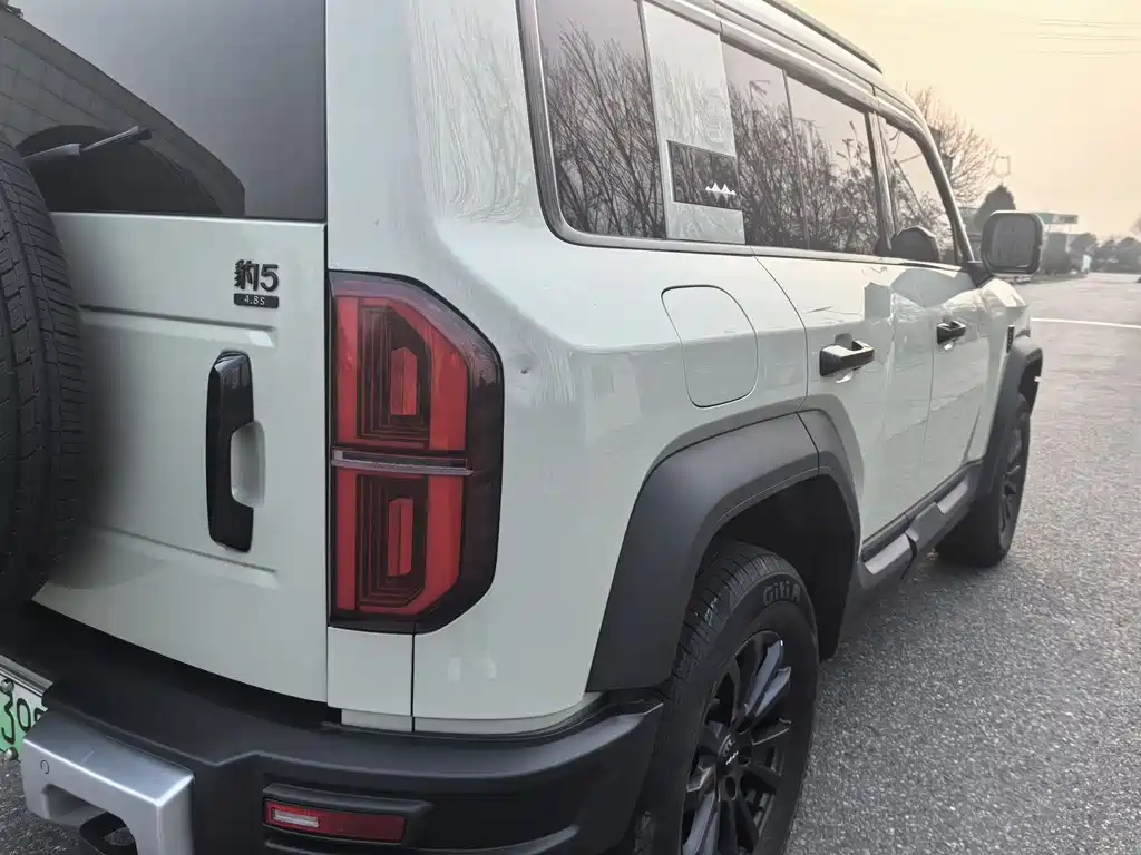 FANG CHENG BAO LEOPARD 5