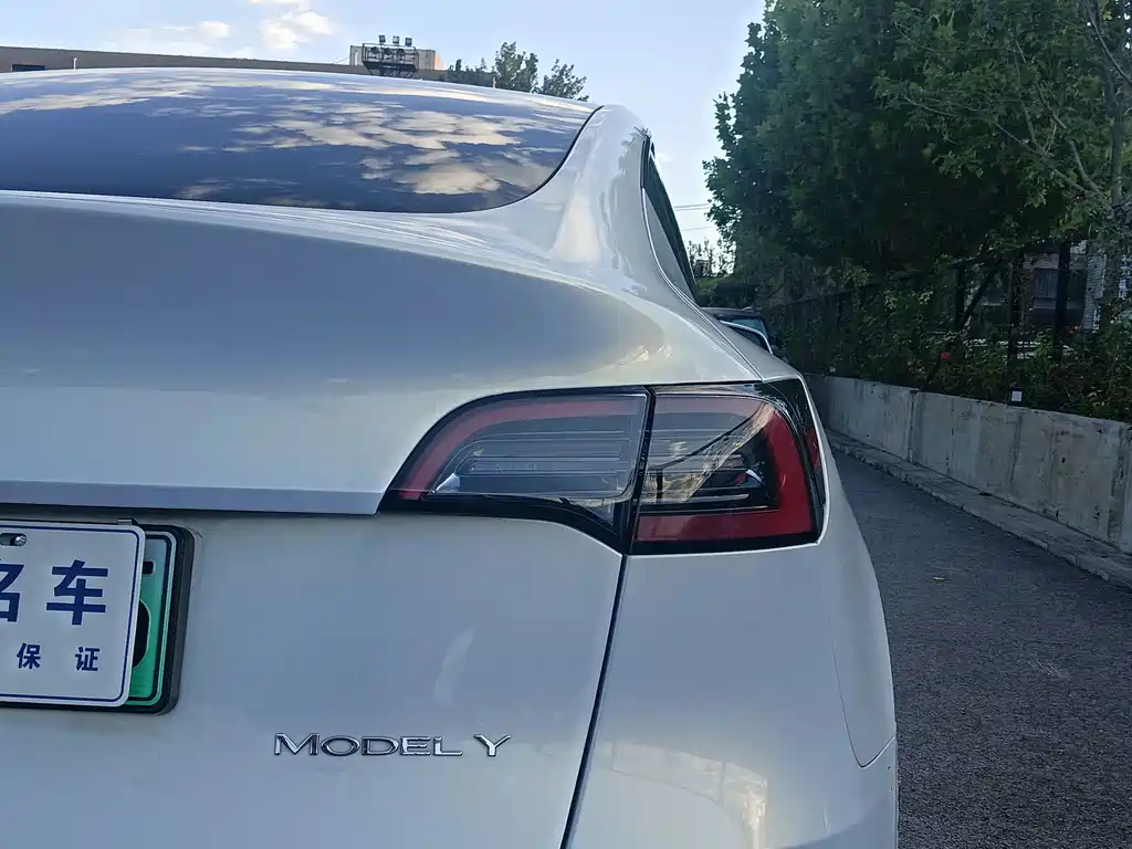 Tesla Model Y — миниатюра 8