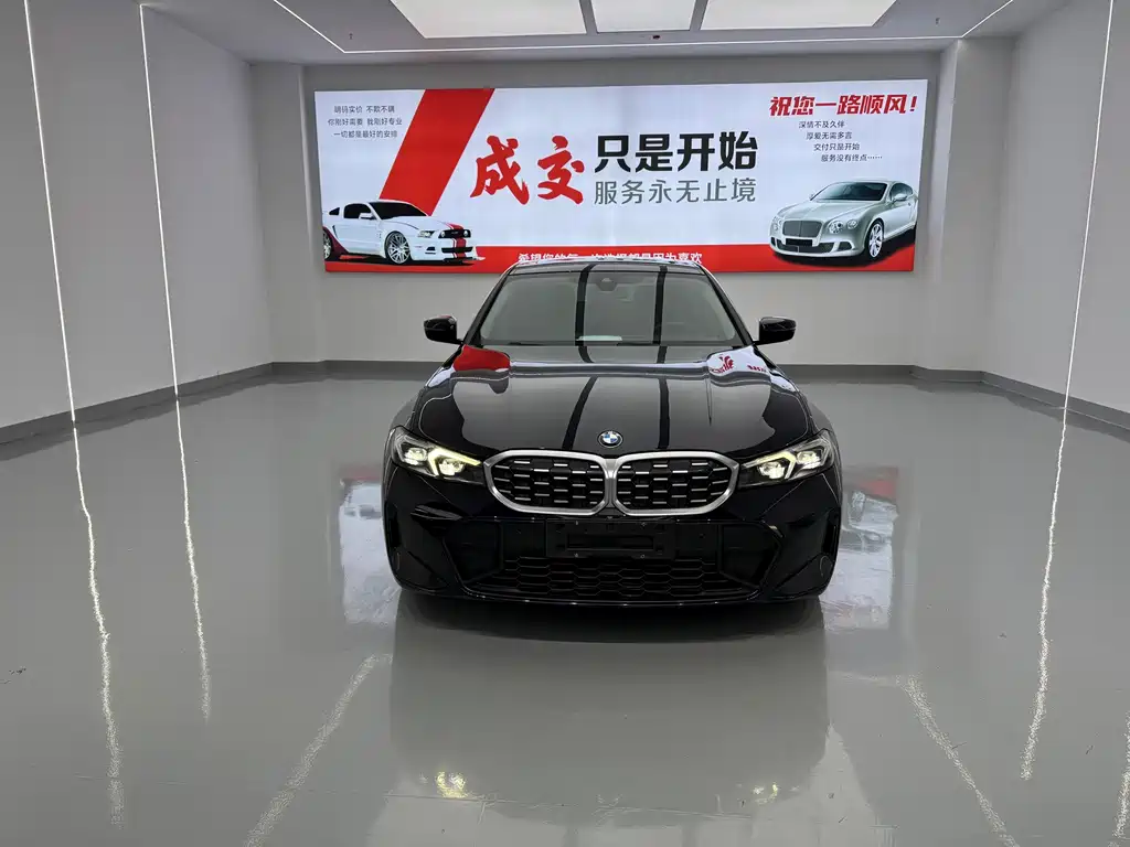 BMW 3 Series — миниатюра 2