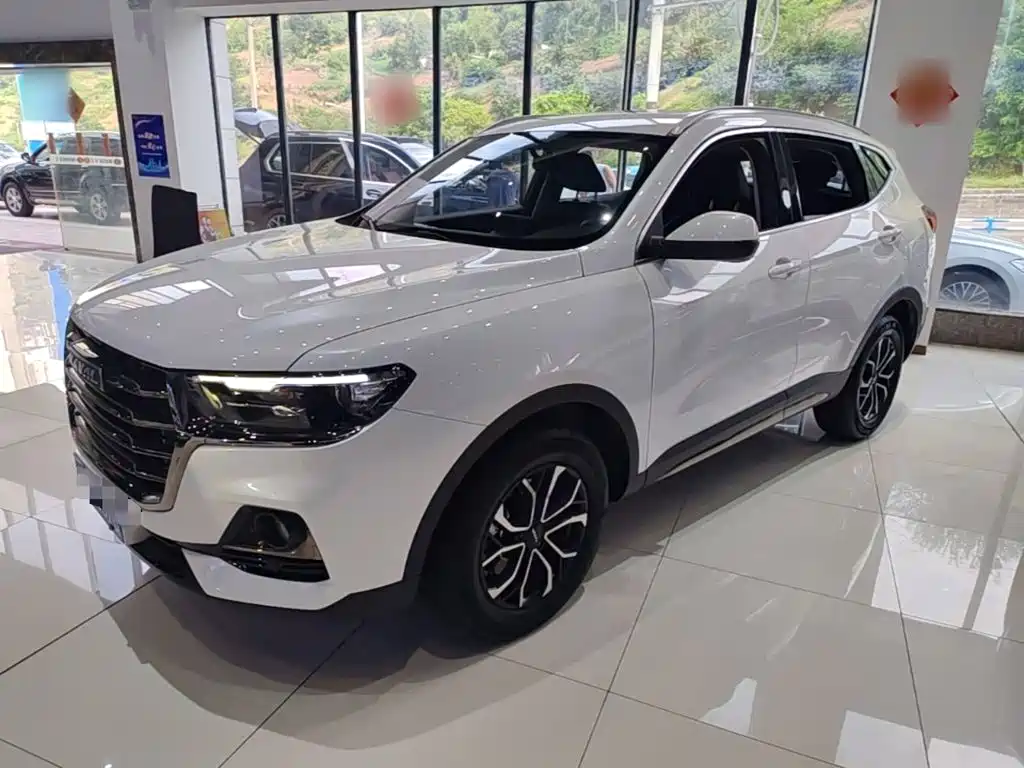 Haval H6 — миниатюра 2