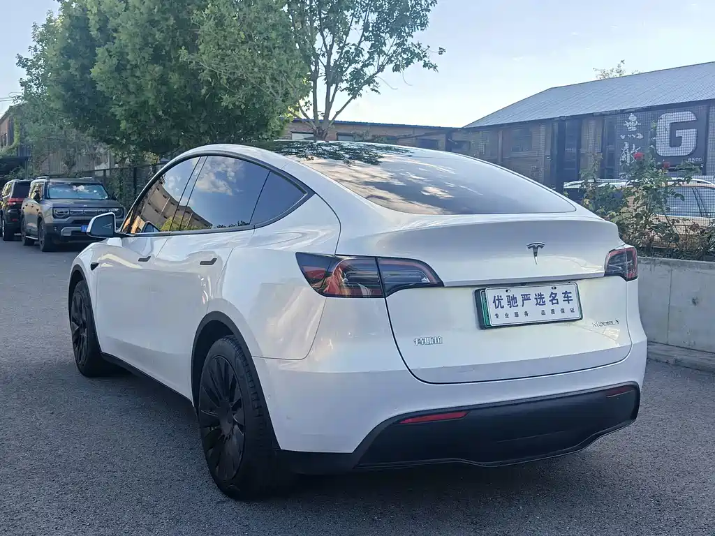 Tesla Model Y — миниатюра 6